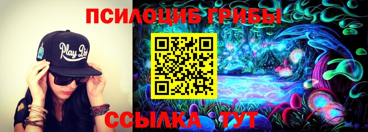 Галлюциногенные грибы мицелий Зеленодольск